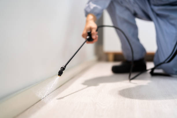 Licensed Cockroach Control service in Greenfield, IL - Nex Pest Control