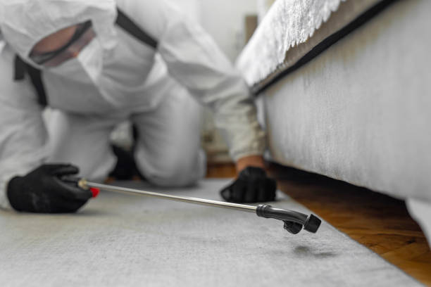 Professional Cockroach Control technician working in Greenfield, IL