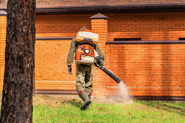 Top rated local Cockroach Control specialists in Greenfield, IL